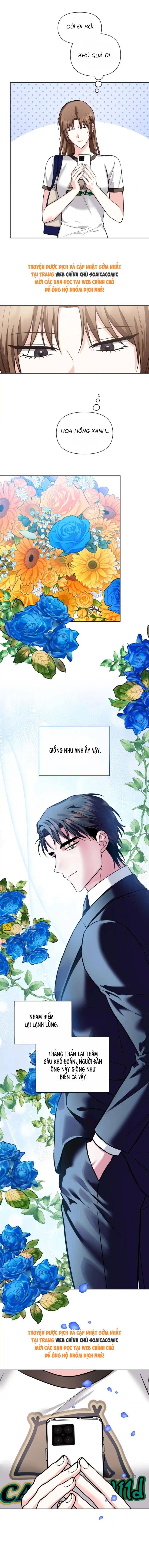 Cua Lại Vợ YêuMón quà ý nghĩa nhất cho người thân  yêu: Chapter 41