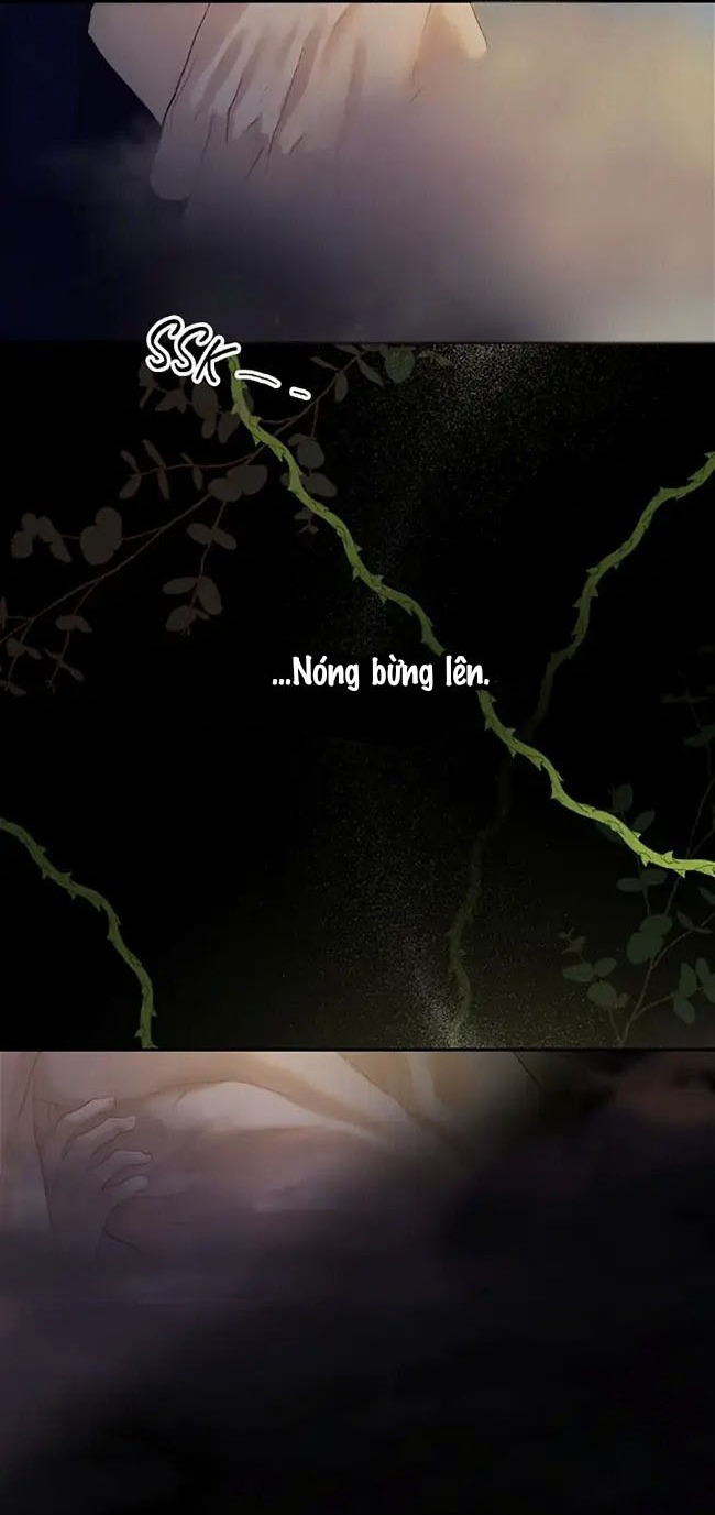Cuộc Sống Xa Hoa Của Cô Nhân Tình Giả: Chapter 1