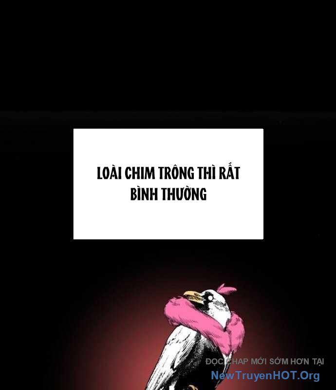 Cửu Vân Mộng Khởi Nguyên: Chapter 4