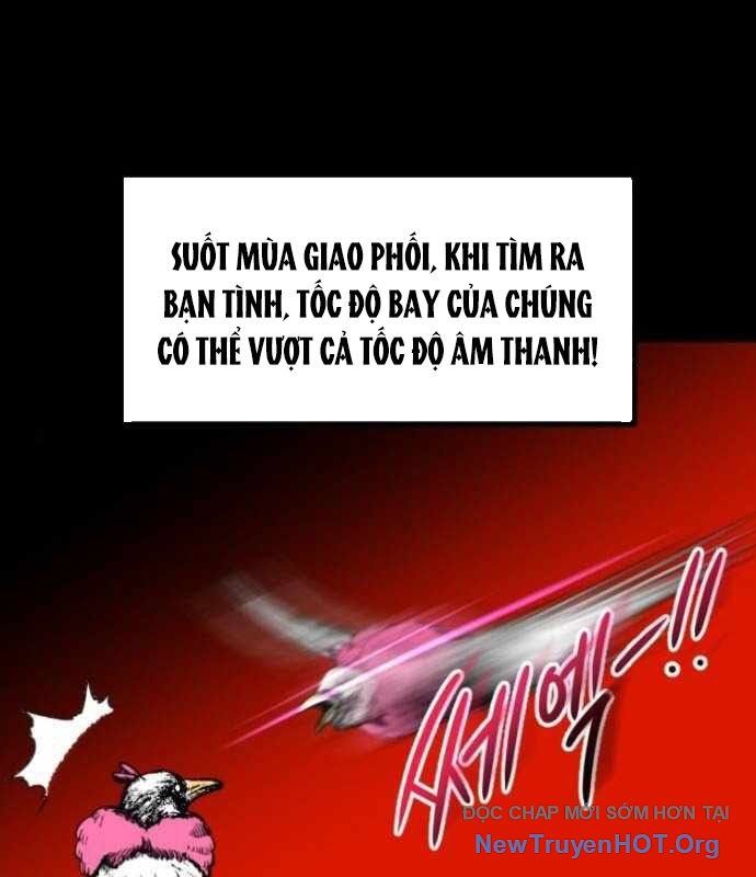 Cửu Vân Mộng Khởi Nguyên: Chapter 4