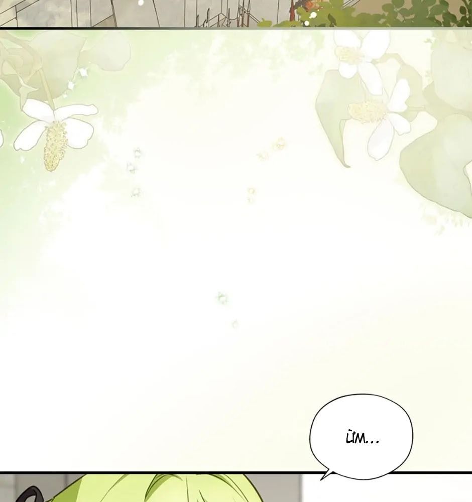 Đã Bảo Nữ Chính Đang Cải Trang Mà: Chapter 26