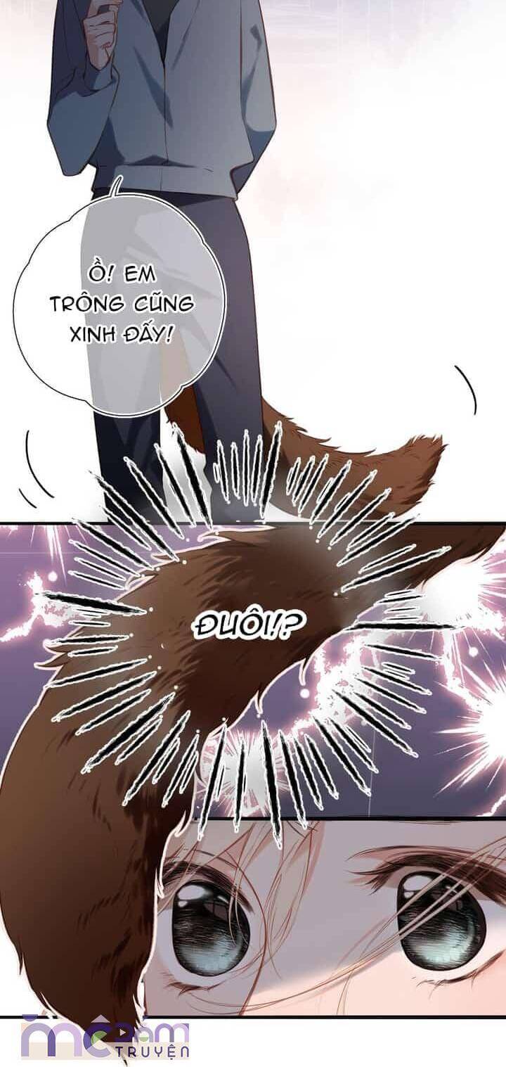 Dã Thú Khi Yêu: Chapter 31