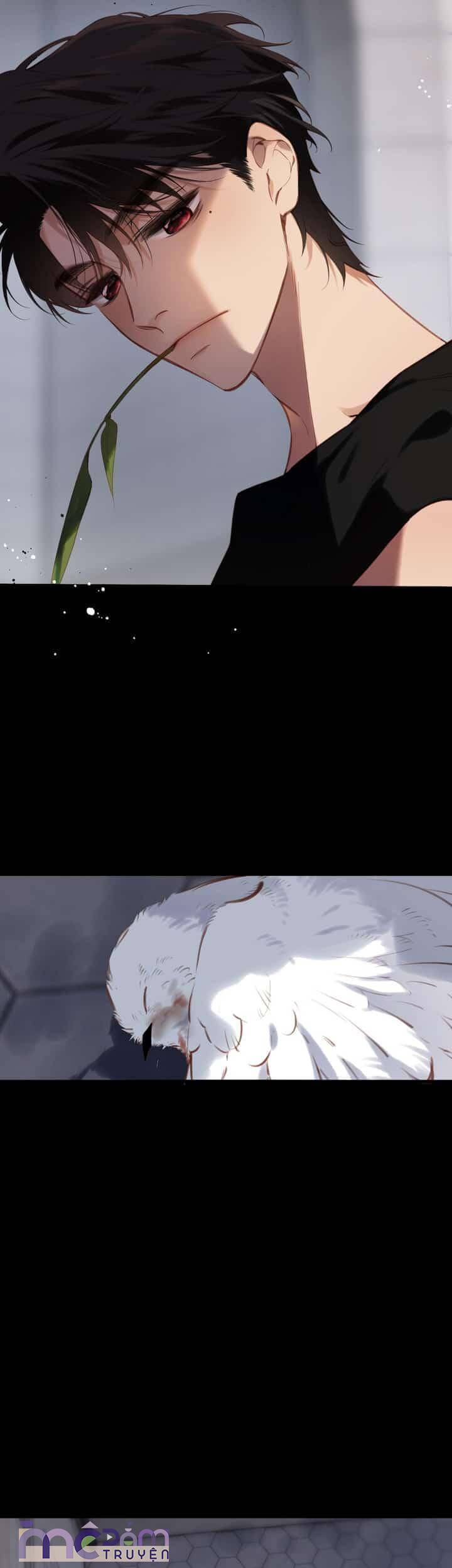 Dã Thú Khi Yêu: Chapter 33