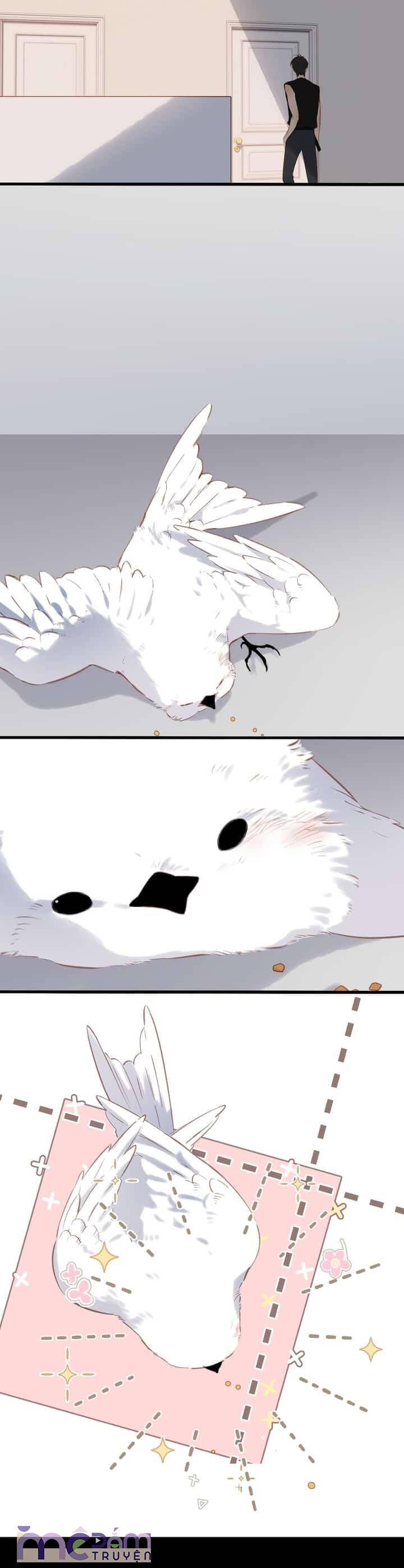 Dã Thú Khi Yêu: Chapter 33