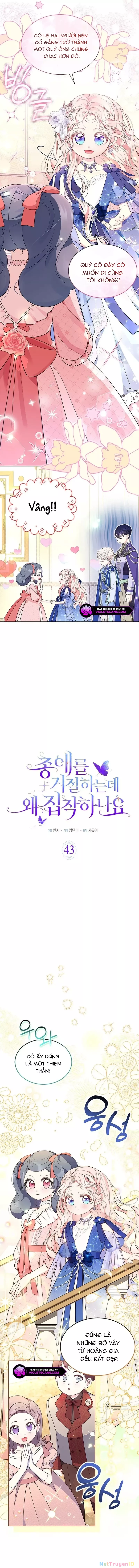 Đã Từ Chối Sủng Ái Rồi Mà Sao Còn Ám Ảnh Thế: Chapter 43