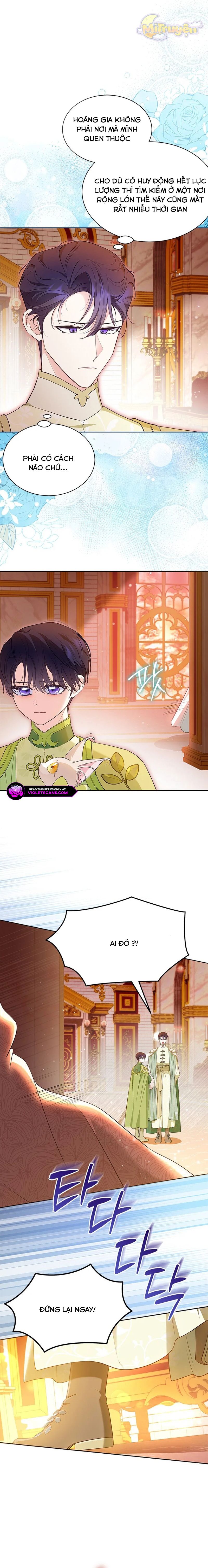 Đã Từ Chối Sủng Ái Rồi Mà Sao Còn Ám Ảnh Thế: Chapter 48