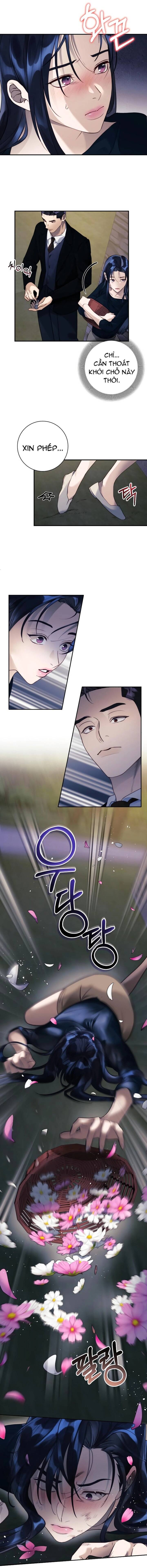 Dạ Vãn: Chapter 1