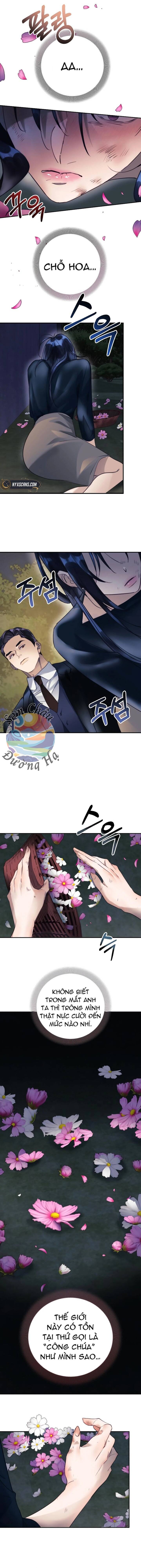 Dạ Vãn: Chapter 1