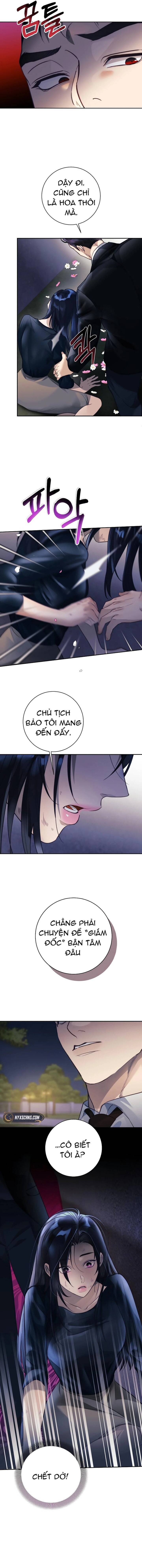 Dạ Vãn: Chapter 1