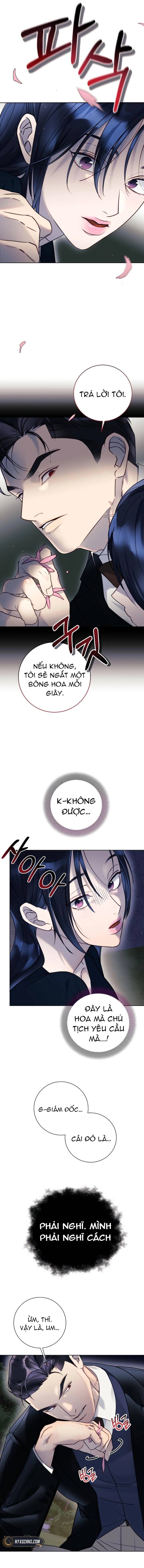 Dạ Vãn: Chapter 2