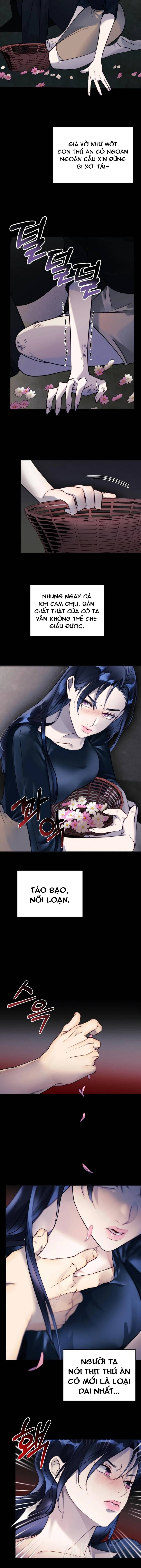 Dạ Vãn: Chapter 2