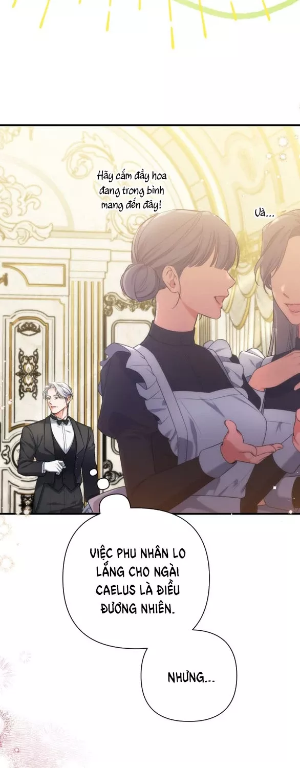 Dành Cho Nhân Vật Bị Bỏ Rơi Yêu Thích Nhất Của Tôi: Chapter 96.1