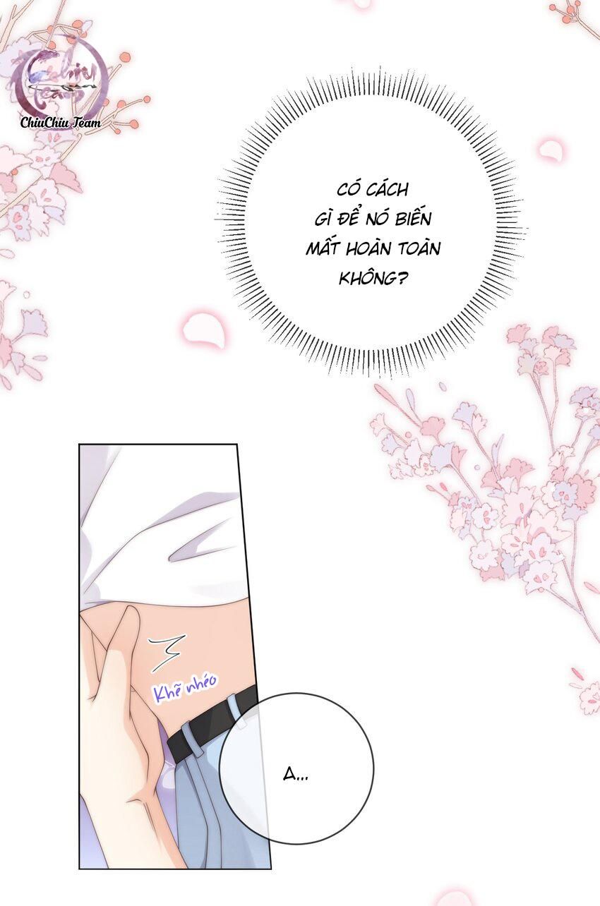 Đảo Thanh Mai: Chapter 55