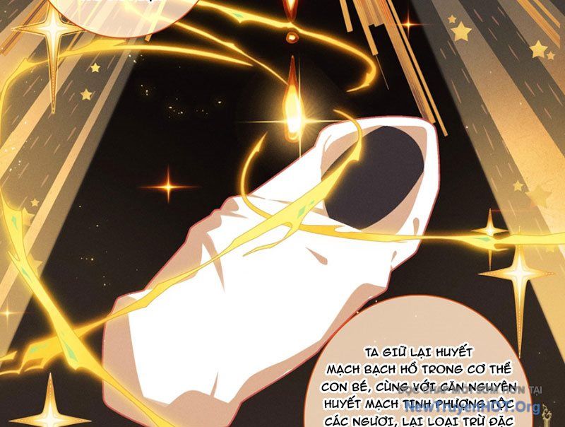 Đấu La Đại Lục 5: Chapter 248