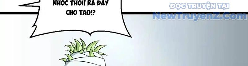 Dẫu Nản Vẫn Cố: Chapter 3