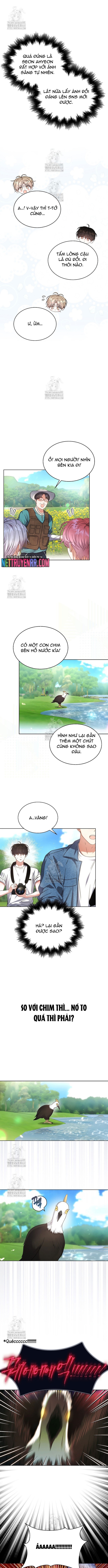 Debut Or Die: Chapter 80