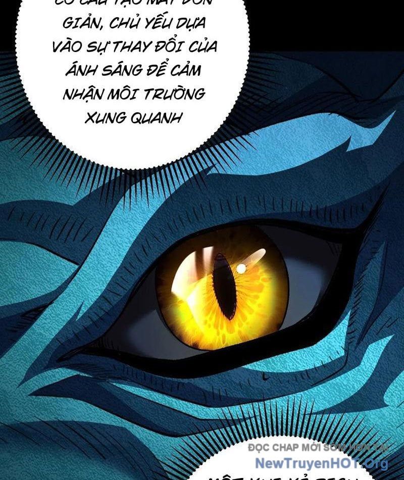 Dị Biến Giáng Lâm Nhân Gian: Triệu Hoán Chi Chủ!: Chapter 37
