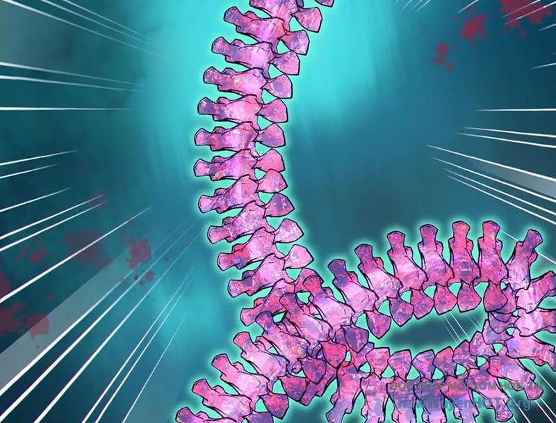 Dị Chủng Hắc Đản: Chapter 23