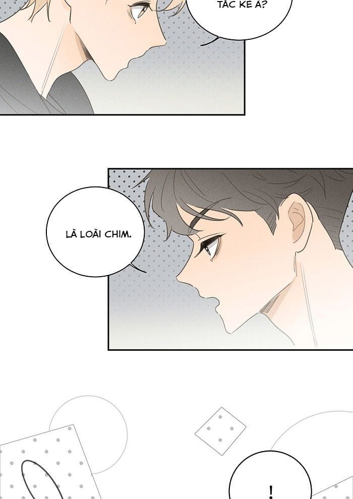 Diêm Hữu: Chapter 41
