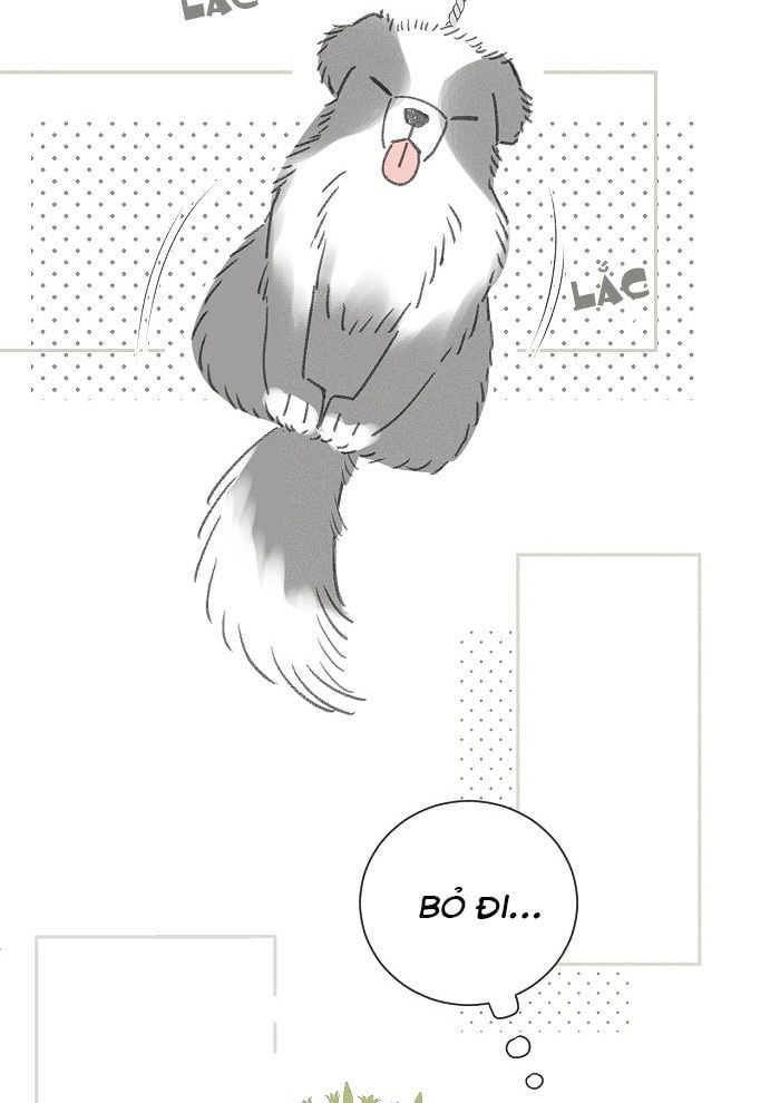 Diêm Hữu: Chapter 41