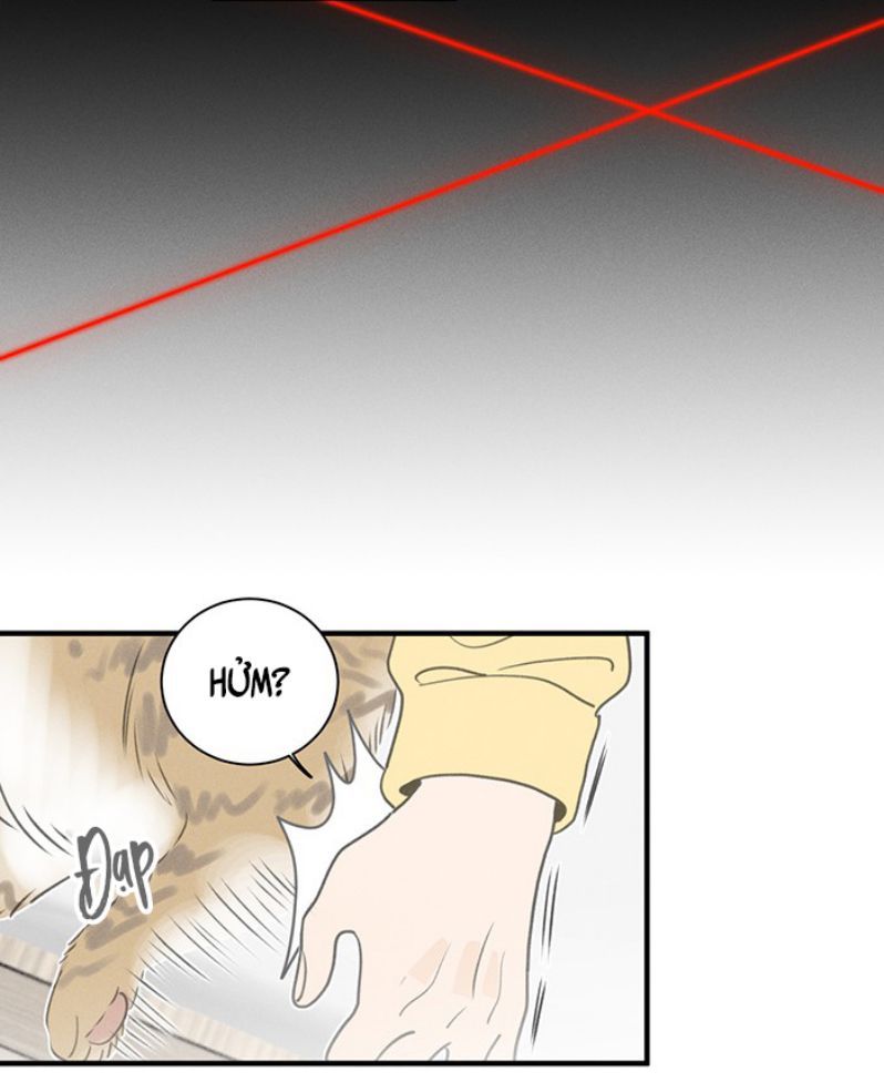 Diêm Hữu: Chapter 52