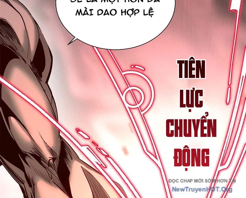 Đỉnh Cấp Khí Vận, Lặng Lẽ Tu Luyện Ngàn Năm: Chapter 263