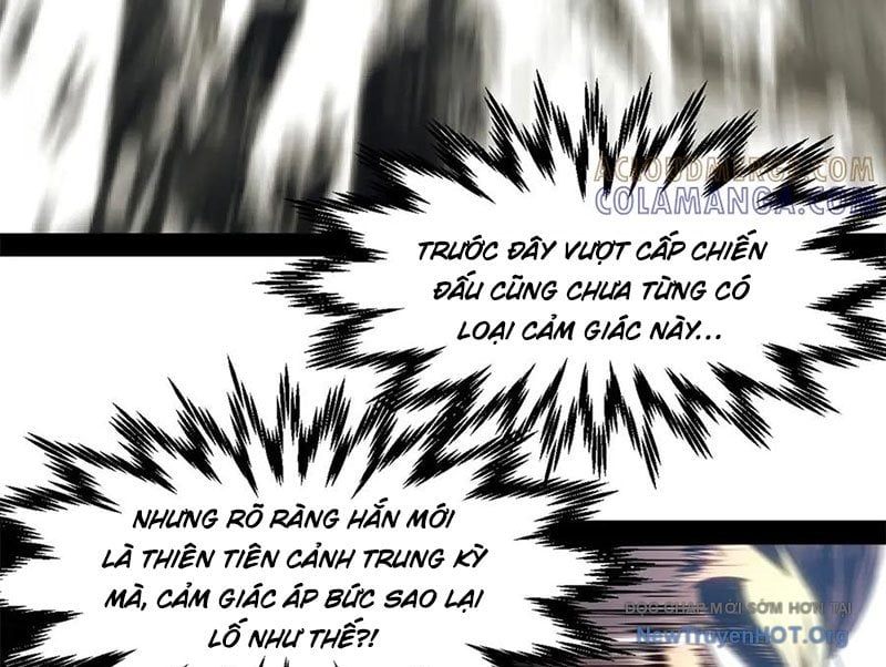 Đỉnh Cấp Khí Vận, Lặng Lẽ Tu Luyện Ngàn Năm: Chapter 265