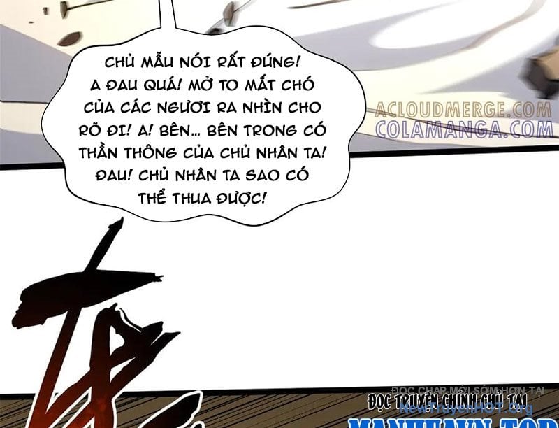 Đỉnh Cấp Khí Vận, Lặng Lẽ Tu Luyện Ngàn Năm: Chapter 265