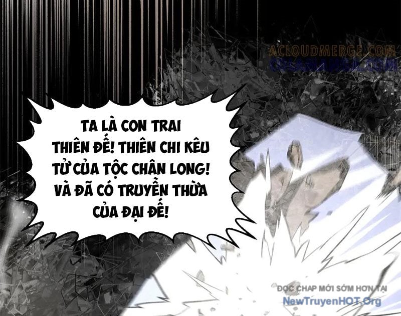 Đỉnh Cấp Khí Vận, Lặng Lẽ Tu Luyện Ngàn Năm: Chapter 265