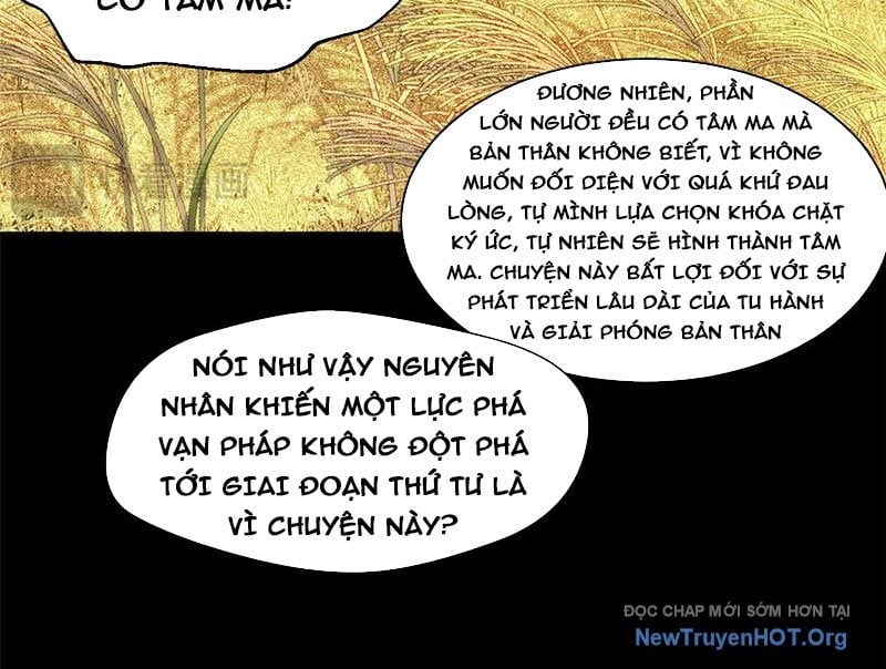 Đỉnh Cấp Khí Vận, Lặng Lẽ Tu Luyện Ngàn Năm: Chapter 266