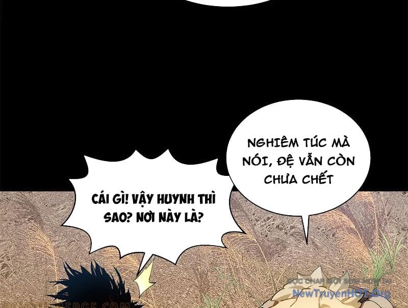 Đỉnh Cấp Khí Vận, Lặng Lẽ Tu Luyện Ngàn Năm: Chapter 266