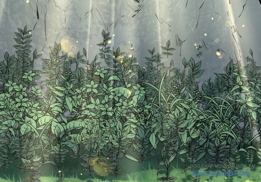 Đỉnh Cấp Khí Vận, Lặng Lẽ Tu Luyện Ngàn Năm: Chapter 270