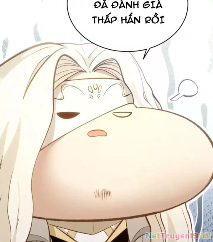 Đỉnh Cấp Khí Vận, Lặng Lẽ Tu Luyện Ngàn Năm: Chapter 271