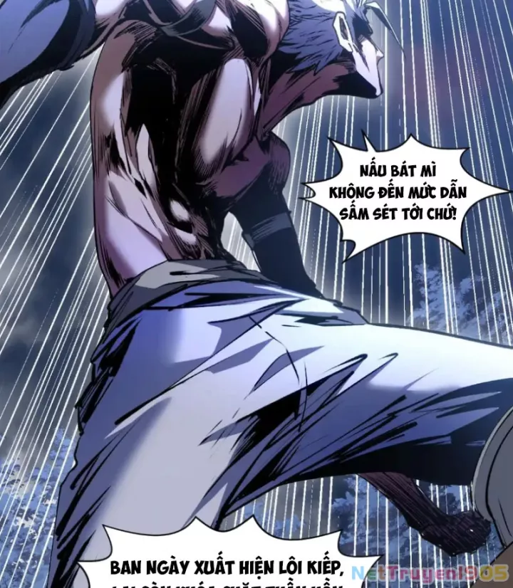 Đỉnh Cấp Khí Vận, Lặng Lẽ Tu Luyện Ngàn Năm: Chapter 271