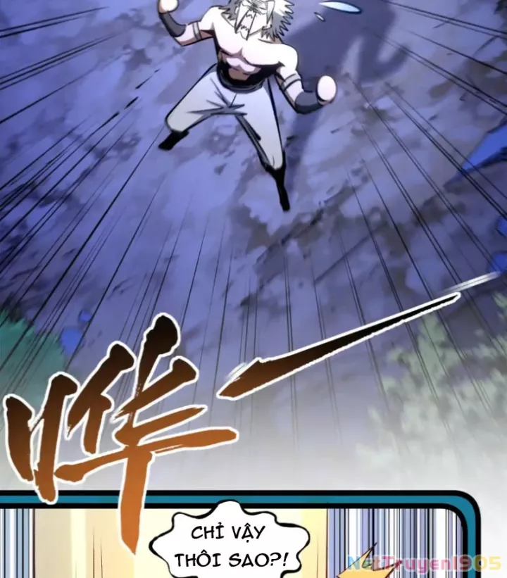 Đỉnh Cấp Khí Vận, Lặng Lẽ Tu Luyện Ngàn Năm: Chapter 271