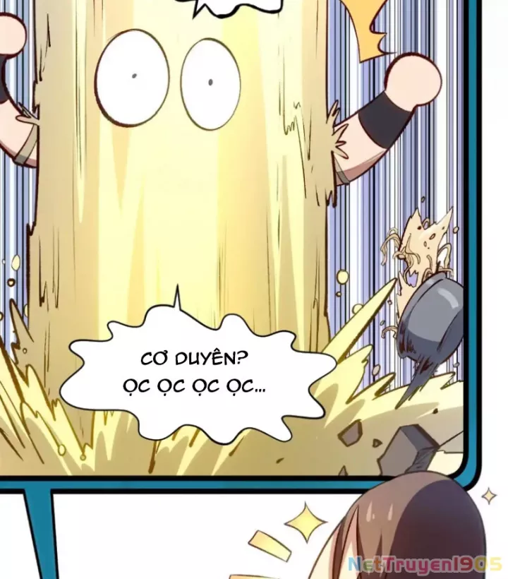 Đỉnh Cấp Khí Vận, Lặng Lẽ Tu Luyện Ngàn Năm: Chapter 271