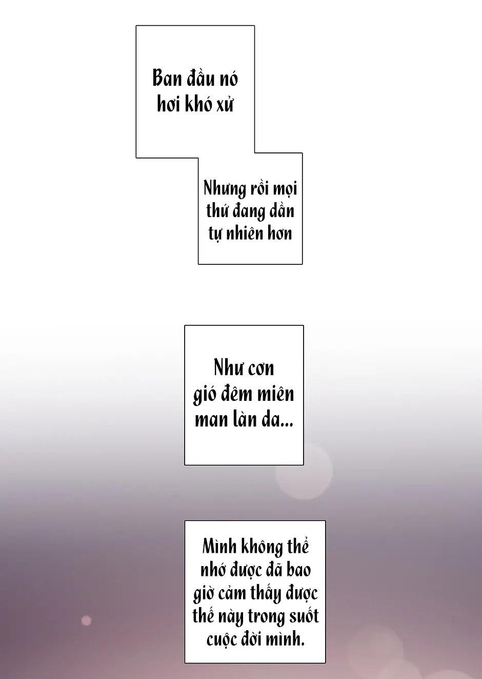 Đừng Chạm Vào Tim Tôi: Chapter 67