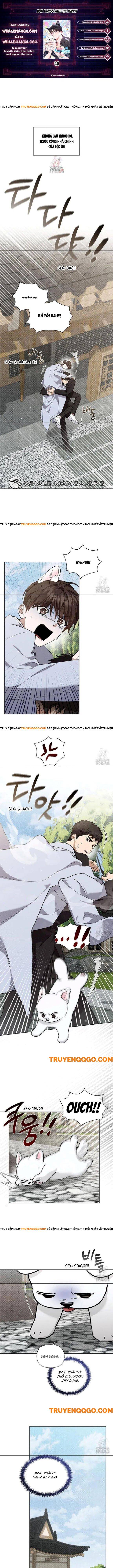 Đừng Đùa Với Cún Con: Chapter 40