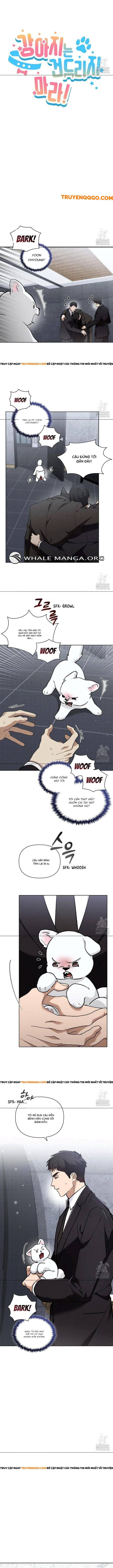 Đừng Đùa Với Cún Con: Chapter 40
