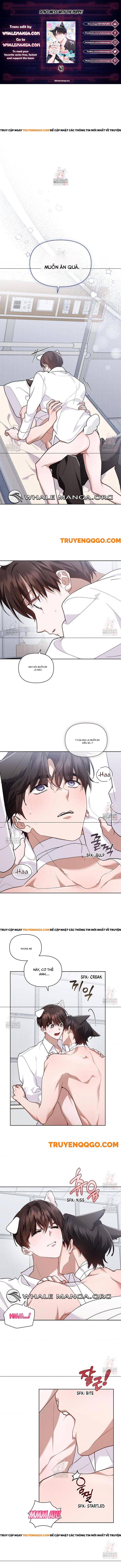 Đừng Đùa Với Cún Con: Chapter 41