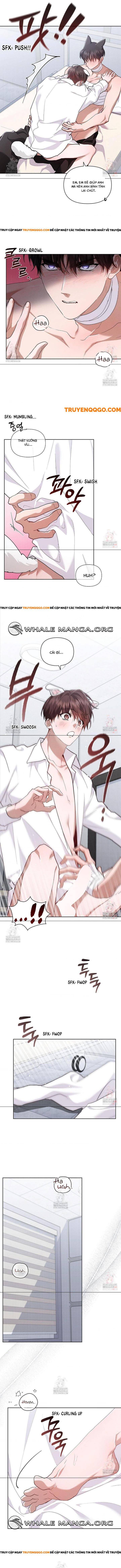 Đừng Đùa Với Cún Con: Chapter 41