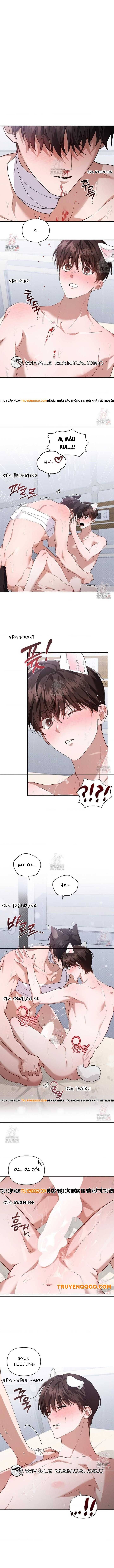 Đừng Đùa Với Cún Con: Chapter 42