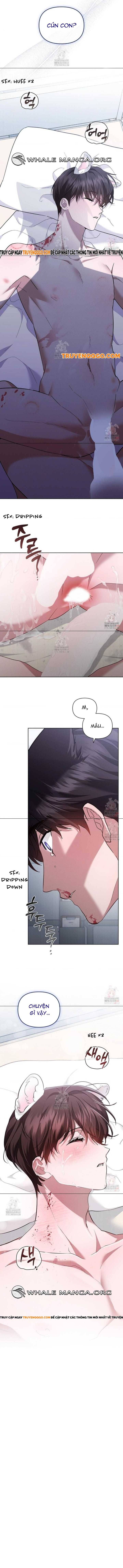 Đừng Đùa Với Cún Con: Chapter 42