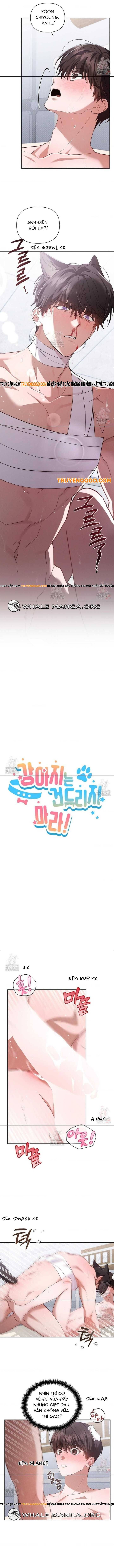 Đừng Đùa Với Cún Con: Chapter 42