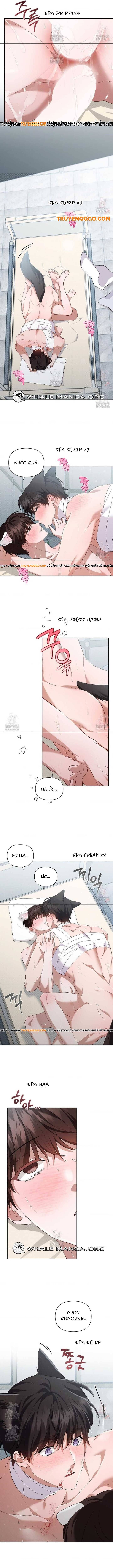 Đừng Đùa Với Cún Con: Chapter 42