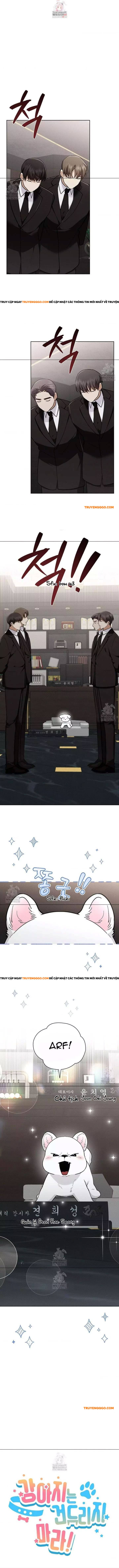 Đừng Đùa Với Cún Con: Chapter 45
