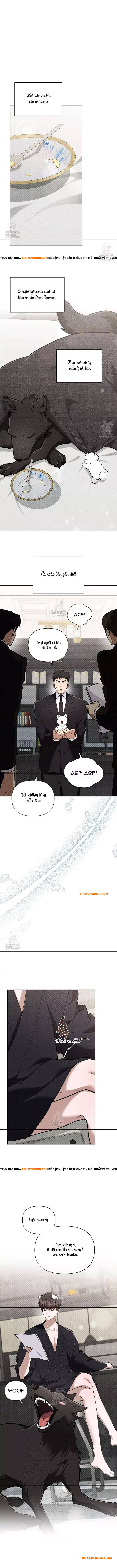 Đừng Đùa Với Cún Con: Chapter 45