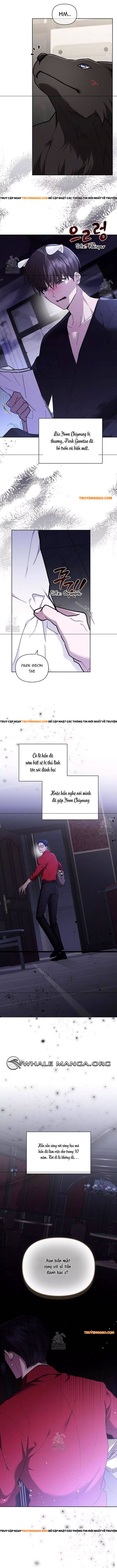 Đừng Đùa Với Cún Con: Chapter 45