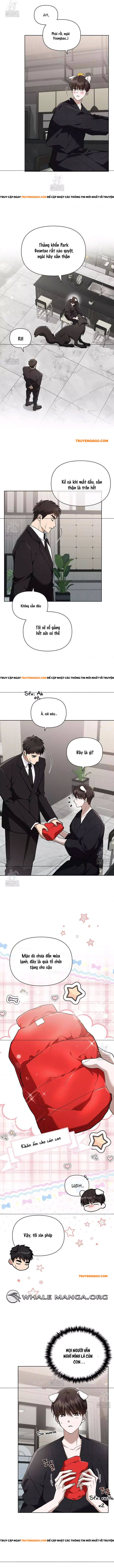 Đừng Đùa Với Cún Con: Chapter 45