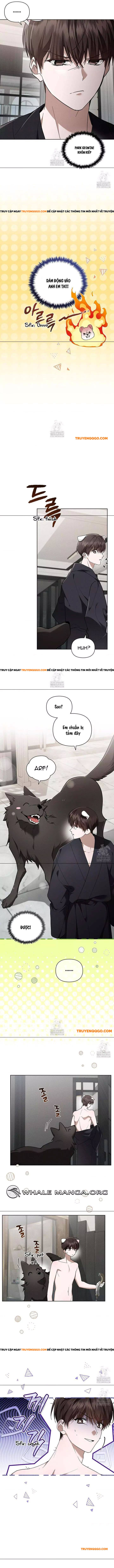 Đừng Đùa Với Cún Con: Chapter 45